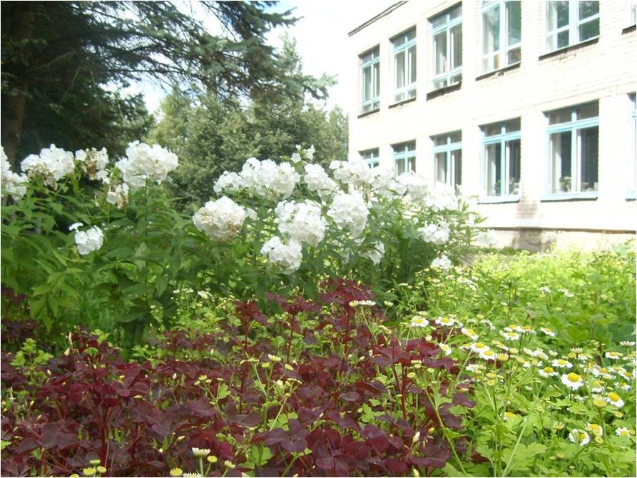 Минская основная общеобразовательная школа