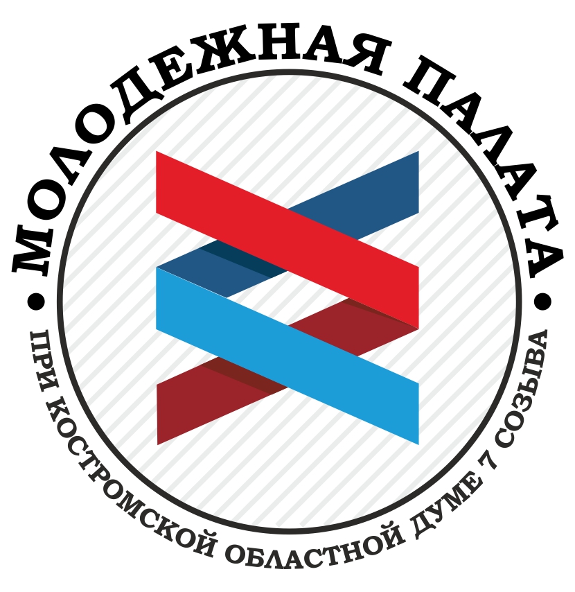 Пятый созыв молодежной палаты